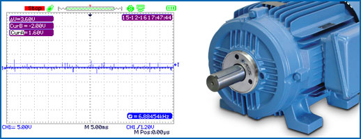 Shaft voltage reading from protected motor